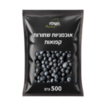 אוכמניות שחורות קפואות 500 גרם